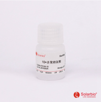 10*多聚赖氨酸