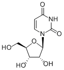 Uridine58-96-8