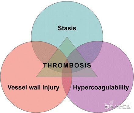 血管通路血栓形成和"virchow三角"(一)