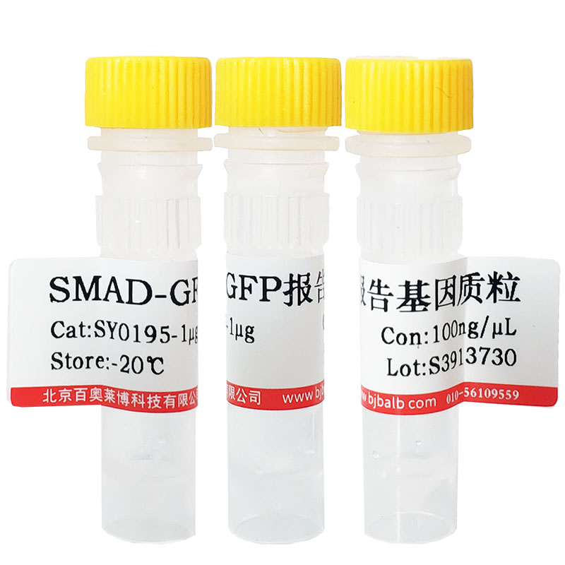 Biotin-HPDP北京价格