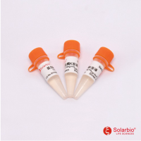 蛋白酶K溶液 供应