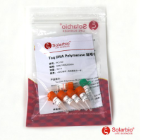 Taq DNA Polymerase
