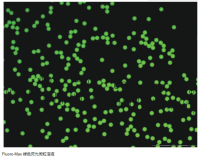 Thermo Scientific™ Fluoro-Max 绿色荧光微粒溶液