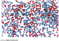 Thermo Scientific™ Color-Rich 羧基修饰深度染色微粒