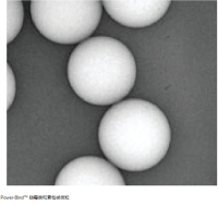 Thermo Scientific™ Power-Bind™ 链霉亲和素包被微粒