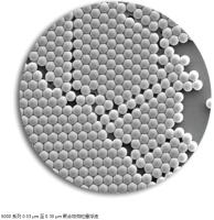 Thermo Scientific™ 5000 系列 0.03 μm 至 0.30 μm 聚合物微粒悬浮液