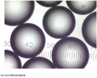 Thermo Scientific™ 7000 系列共聚物微粒悬浮液