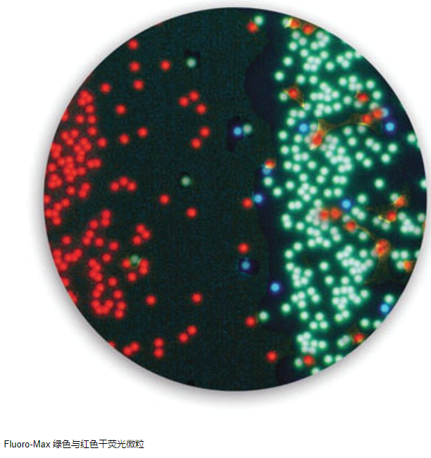 Thermo Scientific™ Fluoro-Max 绿色与红色干荧光微粒
