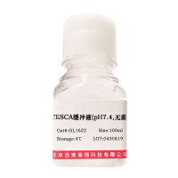 Ple19I内切酶价格