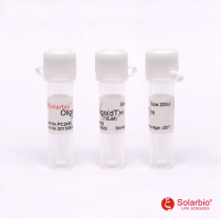 Oligo T16(10uM)