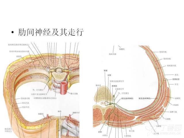 3351555709182960213-8w.jpg!w640