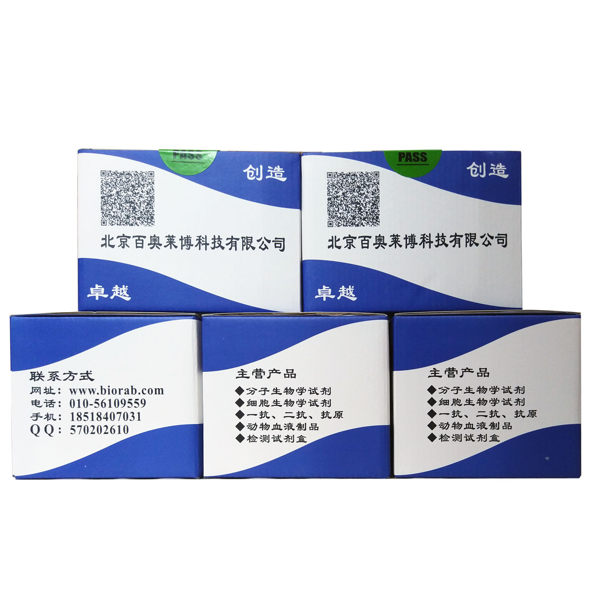 转基因食品直接PCR试剂盒北京供应商