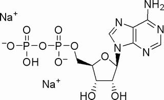 5-腺苷二磷酸二钠盐16178-48-6