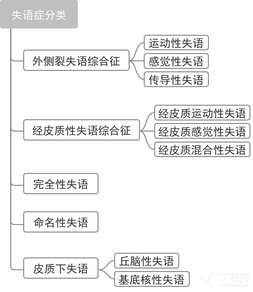 失语症6种类型图片图片