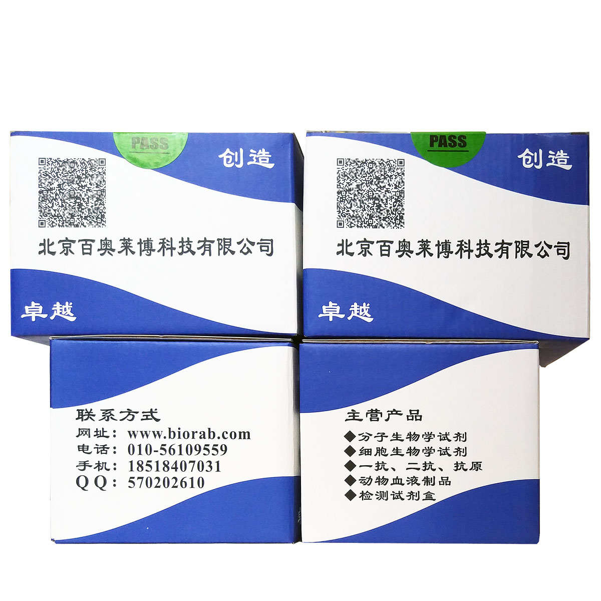 Protein A磁珠抗体纯化试剂盒北京价格