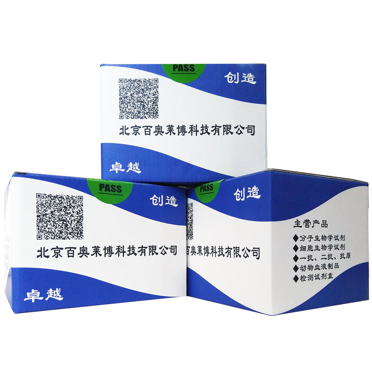 Protein G磁珠抗体纯化试剂盒北京厂家