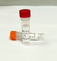 中药有效成分偶联全抗原