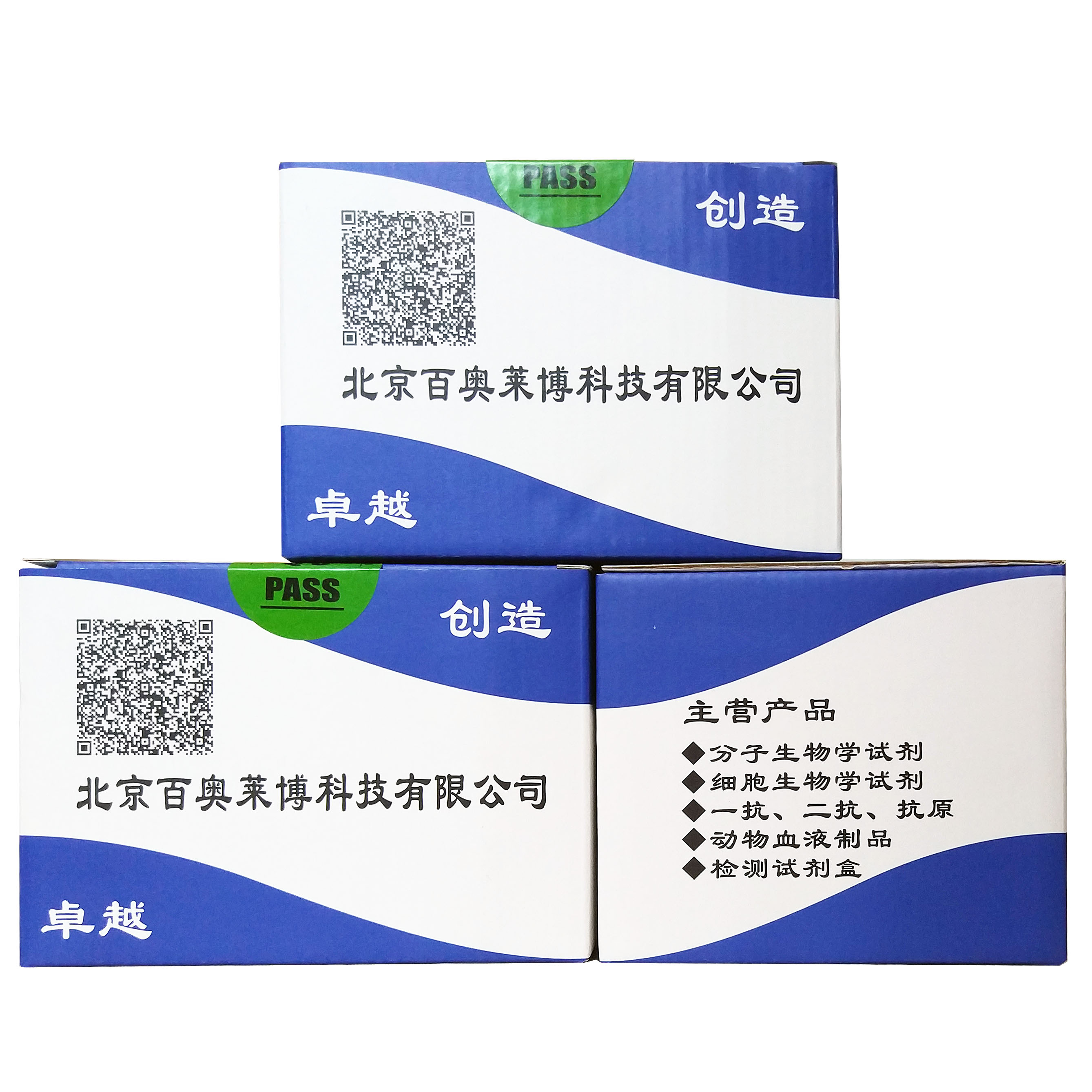 高灵敏ECL免疫印迹化学发光检测试剂盒北京厂家