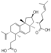 茯苓酸B137551-39-4