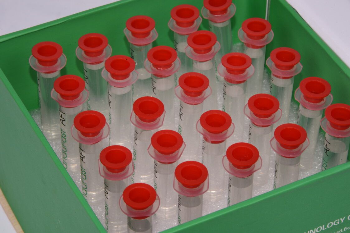 抗体细纯化试剂盒