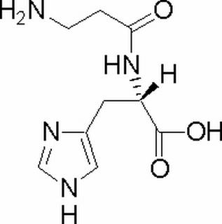L-肌肽305-84-0