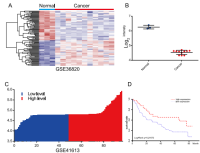 生物信息及大数据分析