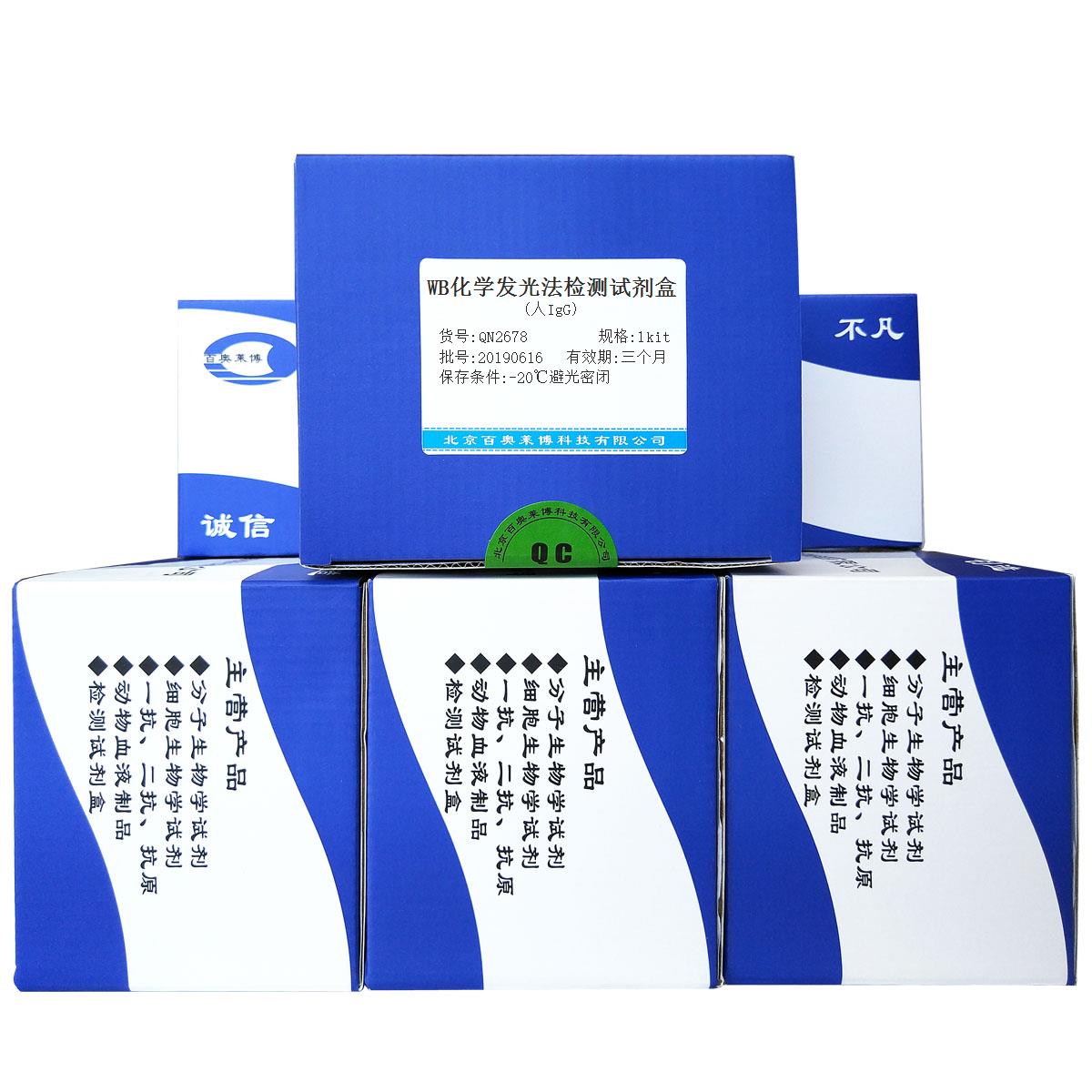 WB化学发光法检测试剂盒(人IgG)北京厂家