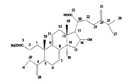 茯苓酸AM151200-92-9