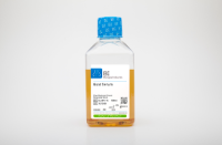 Donor Goat Serum 供体羊血清 04-009-1A