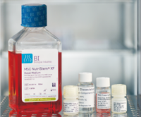 MSC NutriStem® XF Medium 无血清培养基 05-200-1A/B ,05-201-1U/06营养添加物