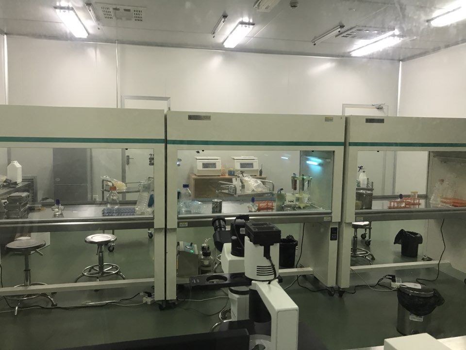 人可溶性CD146分子(sCD146)ELISA试剂盒