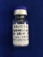  兔抗rT3抗体