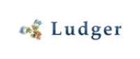 LudgerClean 普鲁卡因胺多糖纯化板