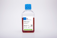 Rabbit Serum 兔血清  04-008-1A