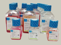 Certified Fetal Bovine Serum (FBS )特级胎牛血清    04-001-1ACS