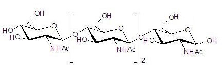 N-乙酰化的壳四糖2706-65-2