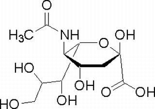 N-乙酰-神经氨酸131-48-6