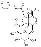 6-O-trans-Cinnamoylphlorigidoside B1246012-25-8
