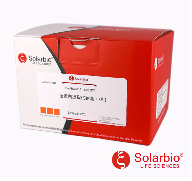 全蛋白提取试剂盒（强）