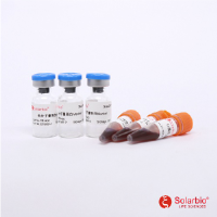 低分子量蛋白质Marker (14.4kD-97.4kD)