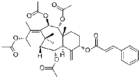 7-Deacetoxytaxinine J18457-45-9