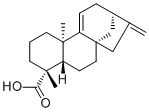 Grandiflorenic acid22338-67-6