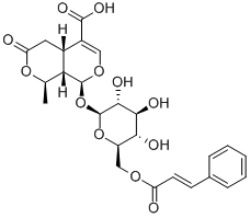 6'-O-Cinnamoyl-8-epikingisidic acid1403984-03-1