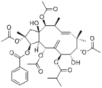 Jatrophane 4210108-88-6