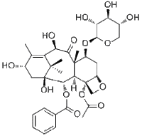 7-Xylosyl-10-deacetylbaccatin III157664-03-4