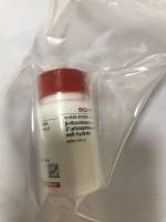 还原型 β-烟酰胺腺嘌呤二核苷酸 2′-磷酸 四钠盐 水合物 