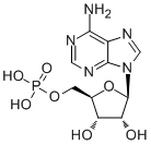 Adenosine 5'-monophosphate61-1