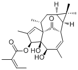 20-Deoxyingenol 3-angelate75567-38-3
