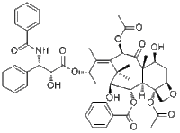 Paclitaxel33069-62-4