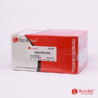 核蛋白抽提试剂盒